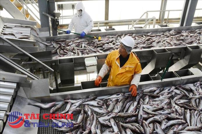 Xuất khẩu cá minh thái Alaska của Mỹ giảm mạnh trong tháng 3/2021