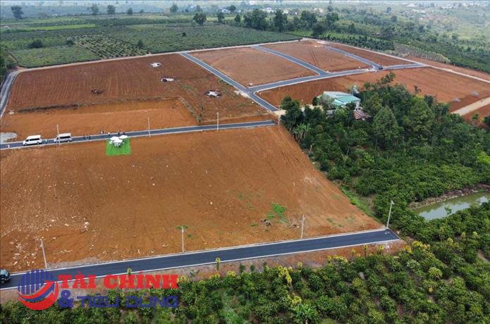 Lâm Đồng: Dẹp tình trạng gom đồi trọc rồi phân lô, tách thửa rao bán tràn lan 