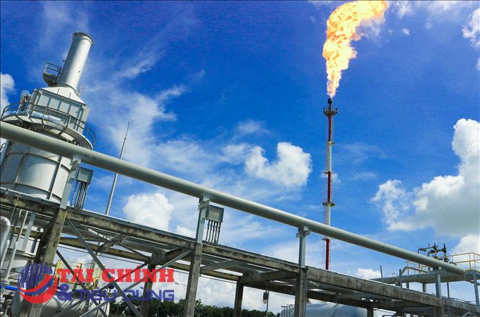 Cổ đông của PV GAS sắp nhận cổ tức 3.000 đồng/cp 