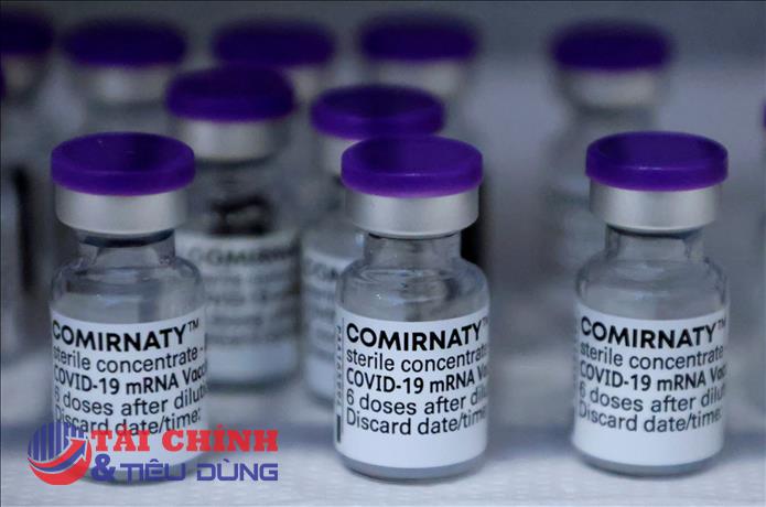 Bộ Y tế phê duyệt vaccine phòng COVID-19 của hãng Pfizer