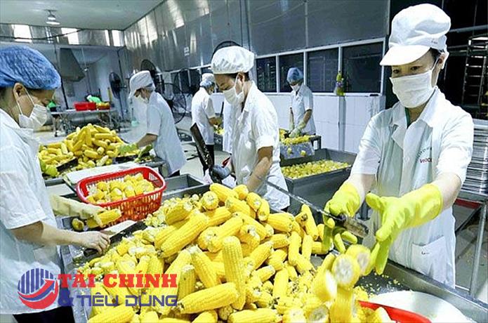 Lưu ý một số quy định nhập khẩu hàng nông sản và thực phẩm vào khu vực Bắc Âu