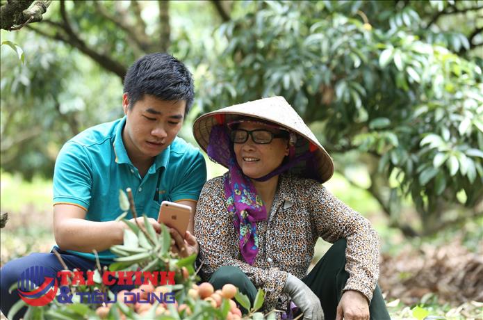 Hỗ trợ đưa hộ sản xuất nông nghiệp lên sàn thương mại điện tử