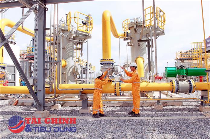 Khai sai thuế, PV GAS D bị xử phạt gần 23 triệu đồng