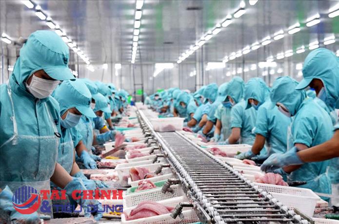 Xuất khẩu thủy sản sang các thị trường ngách vẫn duy trì tăng trưởng 