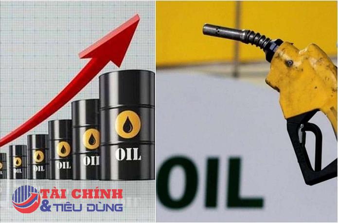 Tại sao giá xăng dầu thế giới tăng cao?