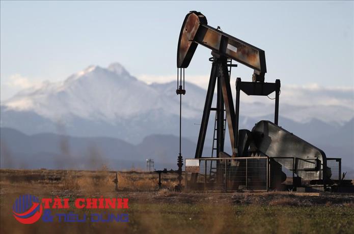 Giá xăng dầu hôm nay 14/10: Biến động trái chiều