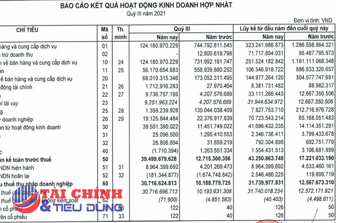 Vì sao doanh thu lao dốc, Đầu tư LDG vẫn báo lãi lớn?