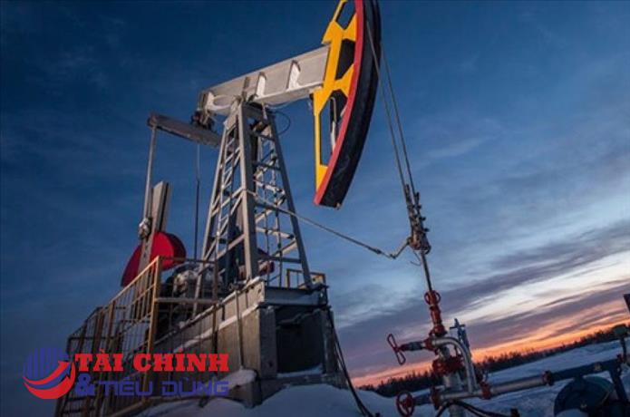 Giá xăng dầu hôm nay 12/11: Hồi phục bất chấp đồng USD tăng mạnh