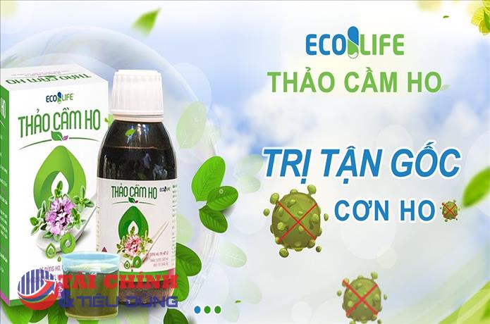 Dược phẩm Ecolife và hàng loạt doanh nghiệp khác vi phạm bị Bộ Y tế xử phạt