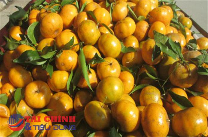 Lào được phép xuất khẩu cam, quýt và trái cây có múi vào Trung Quốc