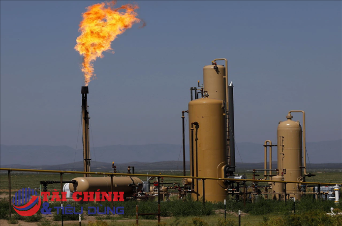 Giá gas hôm nay 7/12: Hồi phục nhẹ sau phiên giảm sâu