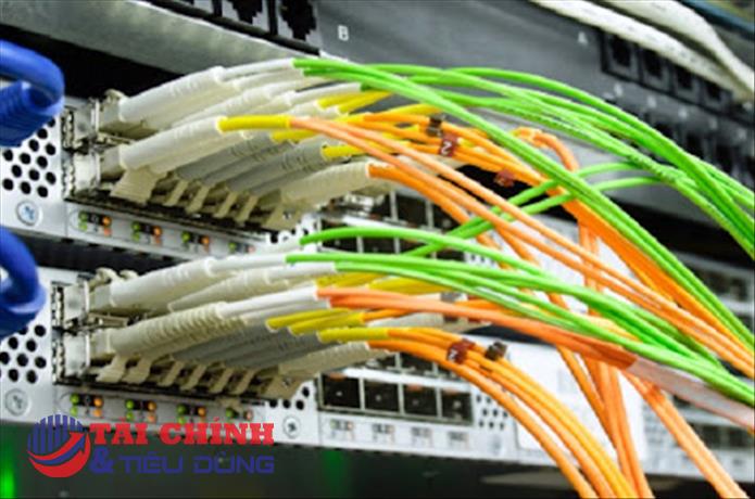 Không công bố thông tin, Điện nhẹ Viễn thông (LTC) bị phạt 100 triệu đồng 