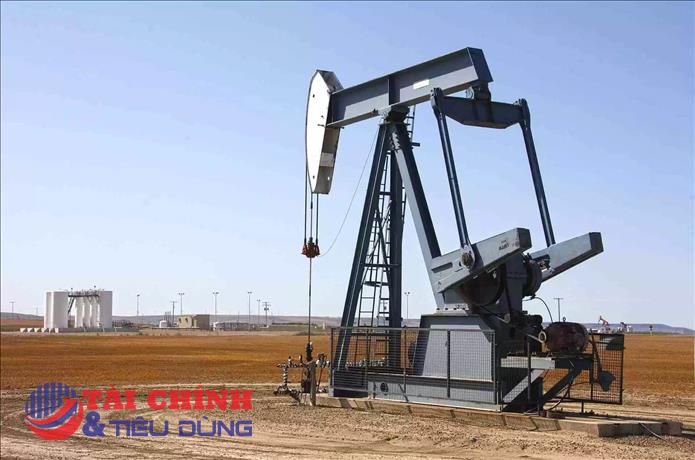 Giá xăng dầu hôm nay 22/12: Duy trì sắc xanh