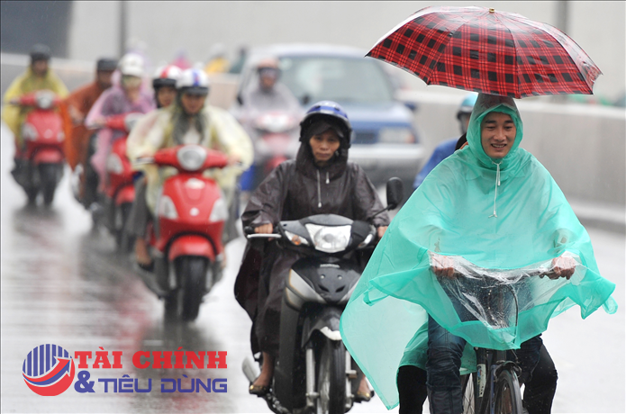 Dự báo thời tiết ngày 16/1: Miền Bắc mưa rét