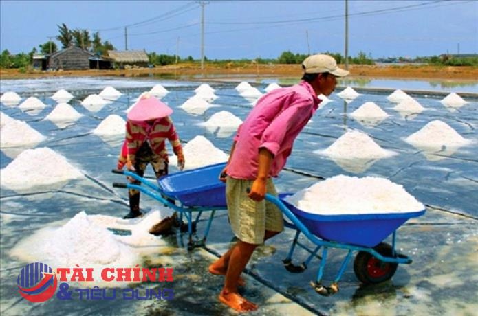  Gỡ khó thị trường tiêu thụ cho ngành muối