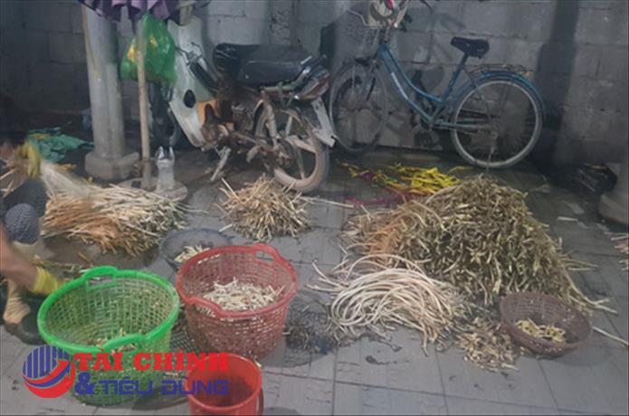 Phát hiện 8 tấn ngó sen ngâm phụ gia hóa chất không rõ nguồn gốc