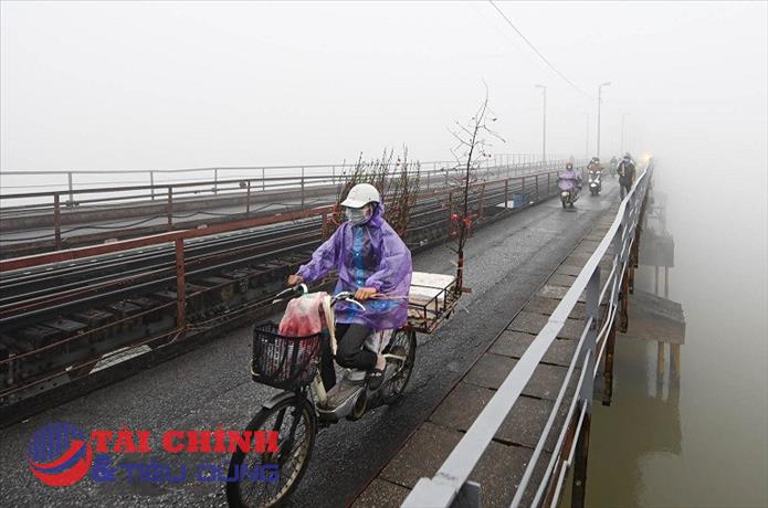 Dự báo thời tiết đêm nay và ngày mai (23-24/1): Bắc Bộ, Bắc Trung Bộ đêm và sáng sớm trời rét, sương mù, trưa chiều hửng nắng