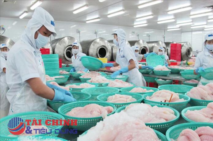 Xuất khẩu thuỷ sản được dự báo tiếp tục tăng trưởng trong năm 2022