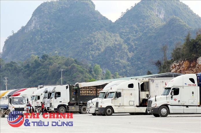 Lạng Sơn dừng tiếp nhận phương tiện chở hàng hoa quả tươi lên cửa khẩu từ ngày 16/2