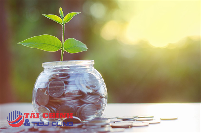 Lịch chốt quyền nhận cổ tức bằng tiền của các doanh nghiệp từ 14/2 - 28/2