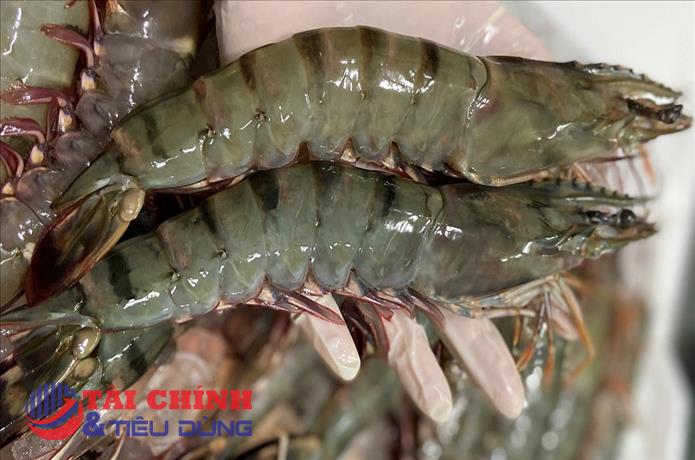 Giá thuỷ sản Trà Vinh tăng cao sau dịp Tết Nguyên đán