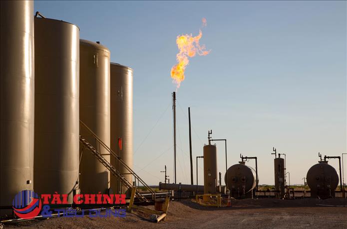 Giá gas hôm nay 16/2: Nhu cầu phục hồi, giá khí đốt tự nhiên tăng gần 2%