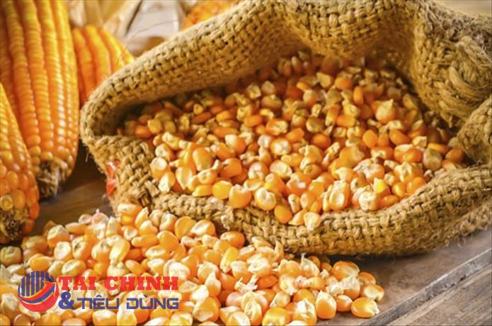 Ngô nhập khẩu tăng mạnh cả về lượng và giá trong tháng 1/2022