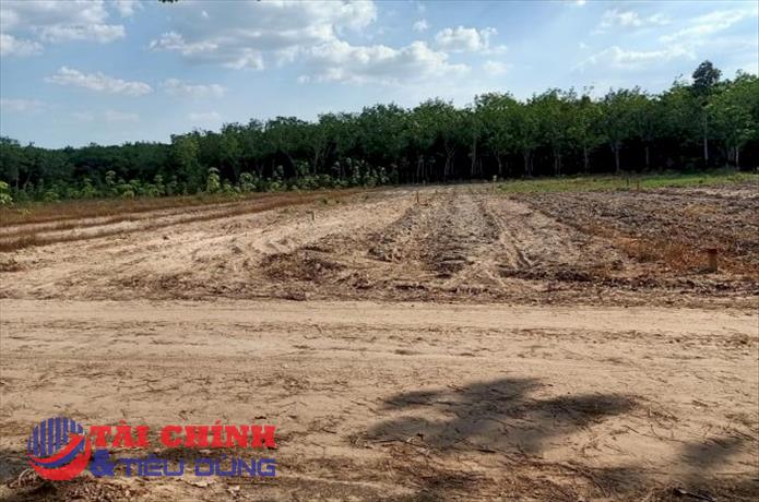 Bình Dương: Bắt giữ nữ "cò đất" lừa đảo chiếm đoạt hơn 80 tỉ đồng của khách hàng