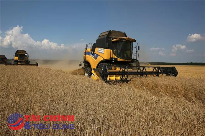 Trung Quốc dỡ bỏ toàn bộ lệnh cấm nhập khẩu lúa mì của Nga