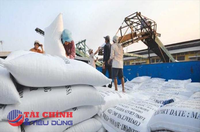 Giá gạo Việt xuất khẩu "vượt mặt" Thái Lan