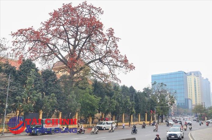 Dự báo thời tiết đêm nay và ngày mai (18-19/3): Cả nước có nắng; Bắc Bộ đêm và sáng sớm trời lạnh; Nam Bộ chiều tối mưa rào và dông vài nơi