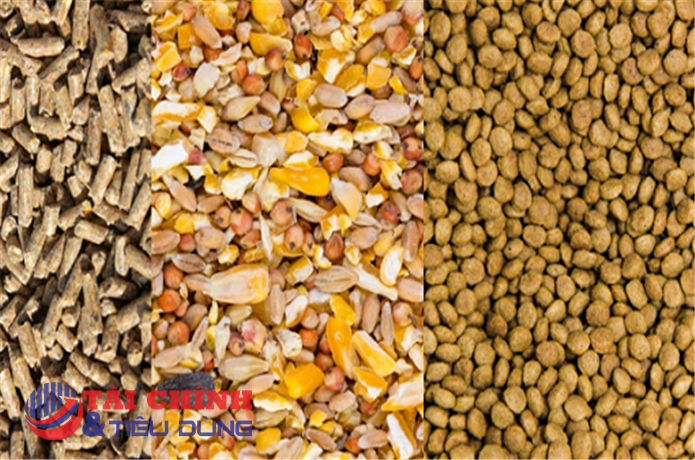 Tìm giải pháp giảm giá thức ăn chăn nuôi