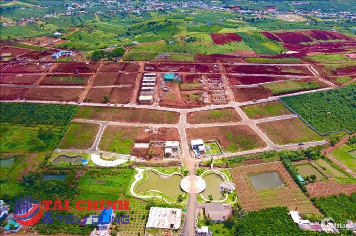 Lâm Đồng: Yêu cầu thanh tra các vụ hiến đất làm đường để phân lô rao bán tràn lan
