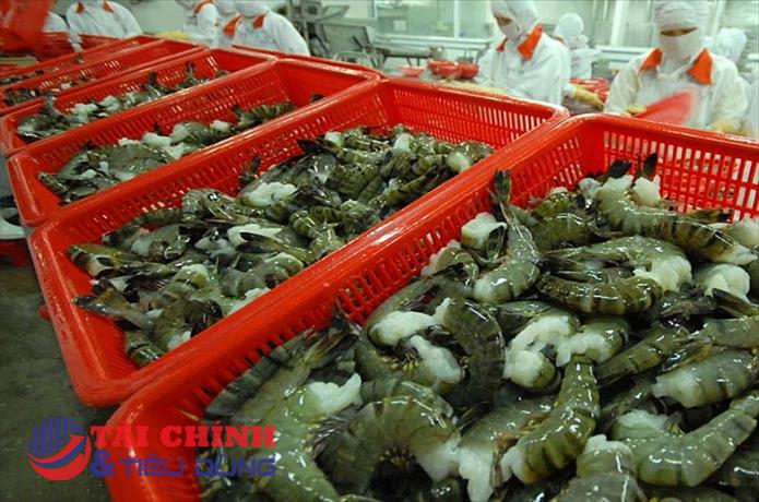 Tín hiệu lạc quan đối với xuất khẩu tôm sú vào thị trường Anh