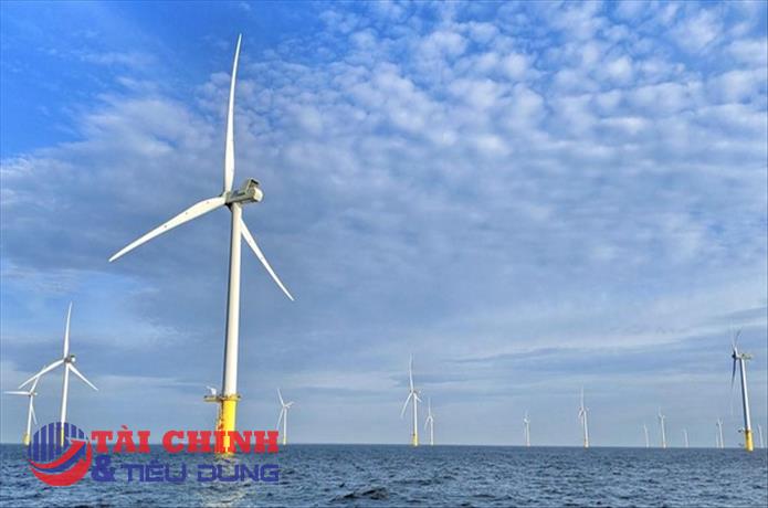Intracom của 'Shark' Nguyễn Thanh Việt muốn làm dự án phong điện 3 tỉ USD ở Quảng Trị