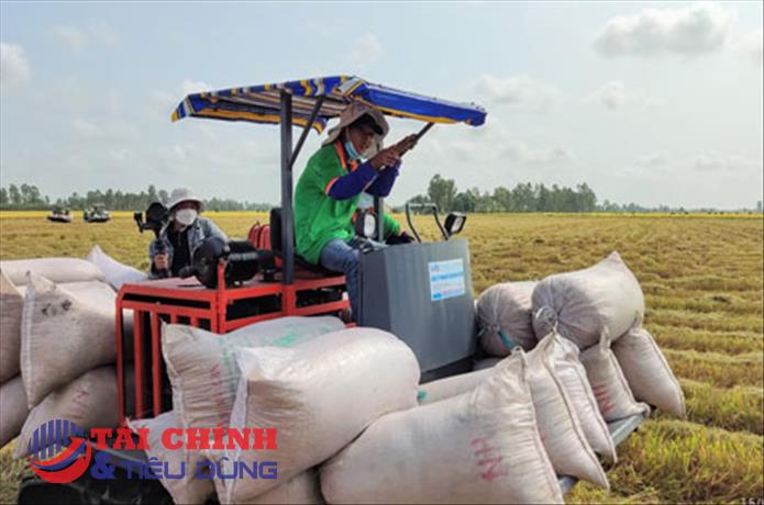 Ứng phó với giá vật tư nông nghiệp tăng