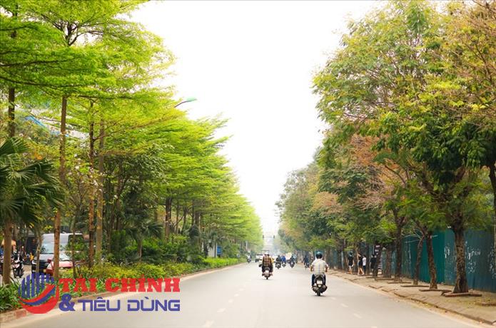 Dự báo thời tiết đêm nay và ngày mai (24-25/3): Bắc Bộ rét về đêm và sáng, trưa chiều có nắng; Tây Nguyên, Nam Bộ chiều tối mưa vài nơi, ngày nắng