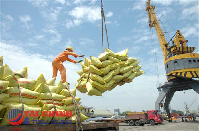 Xuất khẩu gạo sang thị trường EU tăng trưởng đột phá