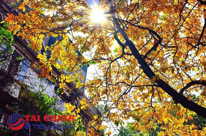Dự báo thời tiết hôm nay 7/4: Bắc Bộ nắng nóng, Nam Bộ có mưa rào