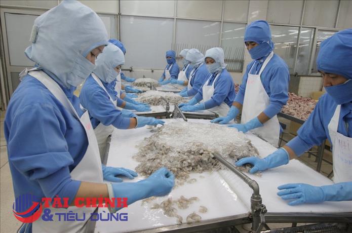 Tìm kiếm cơ hội kết nối kinh doanh và xuất khẩu thủy sản sang thị trường EU