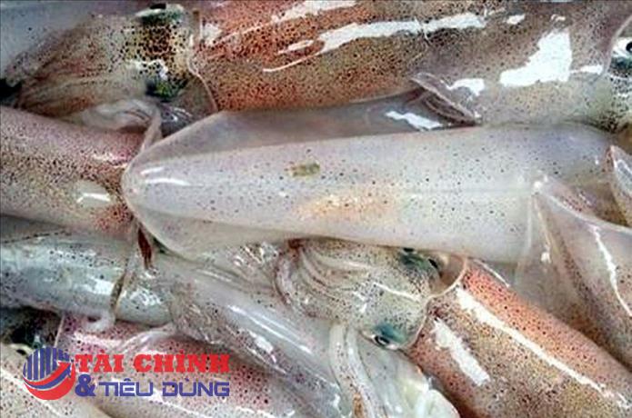 Vasep dự báo xuất khẩu mực, bạch tuộc tiếp tục duy trì đà tăng trưởng