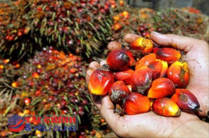 Kết thúc phiên giao dịch 05/05: Giá một số mặt hàng nguyên liệu công nghiệp giảm sâu