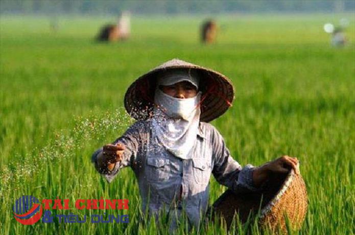 Nông dân 'hoa mày chóng mặt' vì giá phân bón cao nhất 50 năm