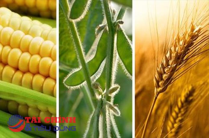 Thị trường hàng hóa ngày 13/5: Giá các mặt hàng nông sản khởi sắc