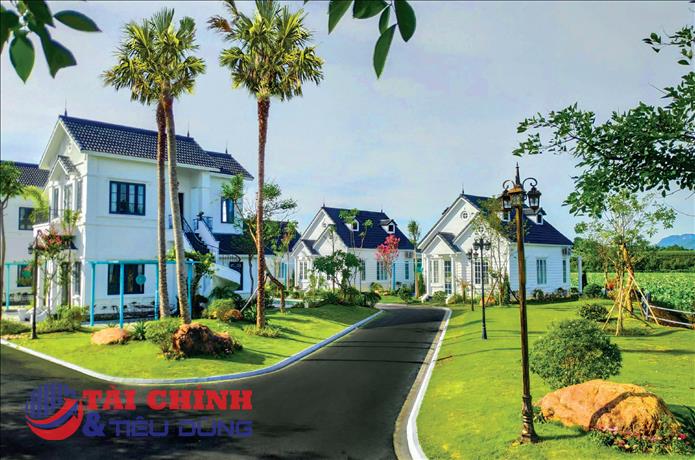 Cổ phiếu giảm hơn 37%, Chủ tịch TIG đăng ký mua 1 triệu cổ phiếu