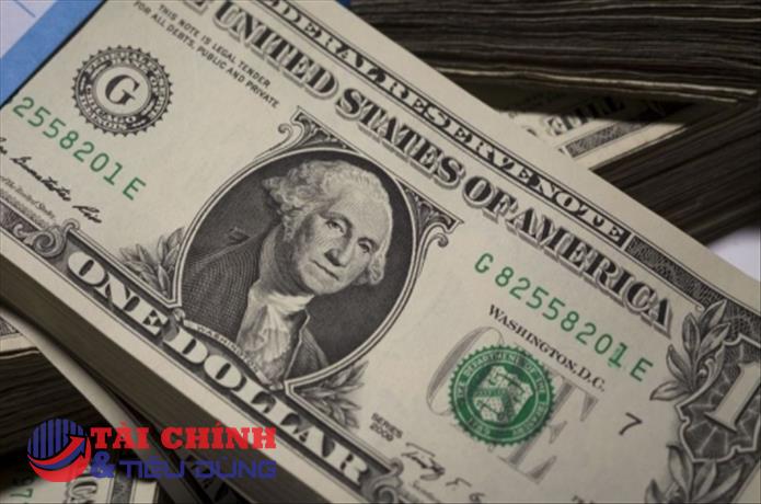 Lạm phát Mỹ tăng nhanh nhất trong gần 40 năm, quan chức Fed quyết tâm nâng lãi suất