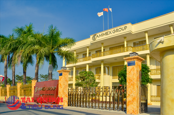 Camimex Group (CMX) thông qua phương án phát hành cổ phiếu thưởng tỷ lệ 10%