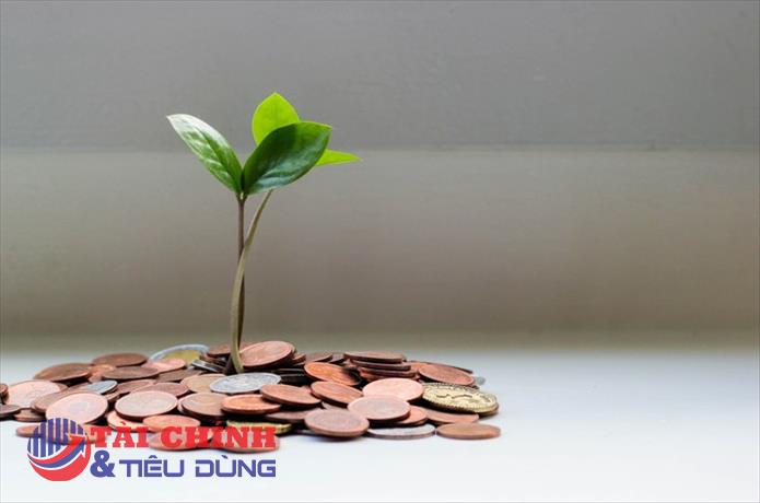 84% người tiêu dùng chưa hiểu đầy đủ về sự khác biệt giữa tài chính xanh và tài chính đạo đức