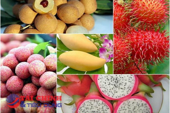 Thị trường xuất khẩu khắt khe hơn, trái cây Việt vẫn chuộng xuất ngoại