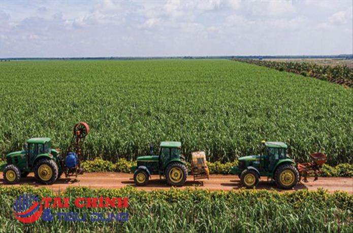 Doanh nghiệp mía đường mở rộng cơ hội